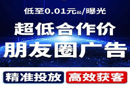 案例研究：信息流广告投放优化